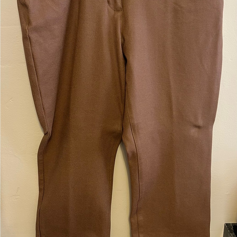 So Slimming by Chicos

Size: 0.5

TAN NEVER WORN